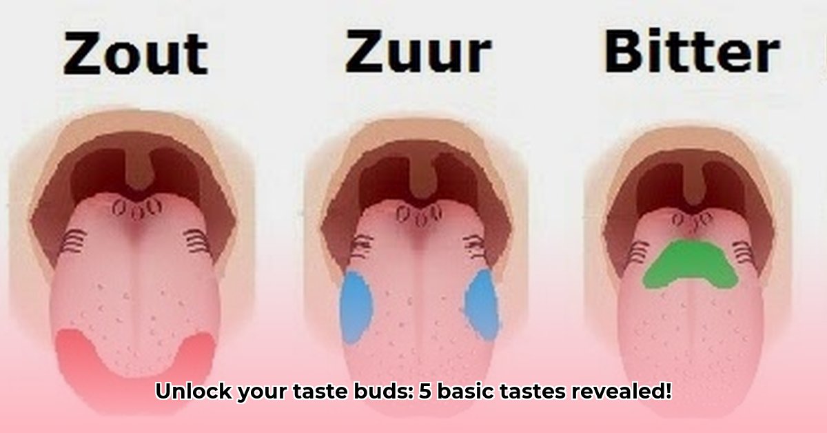 de-vijf-basissmaken